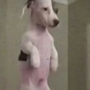 Meet your Posher, Evan